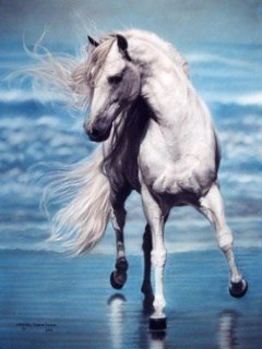 animals-1067