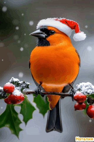 file_101389697