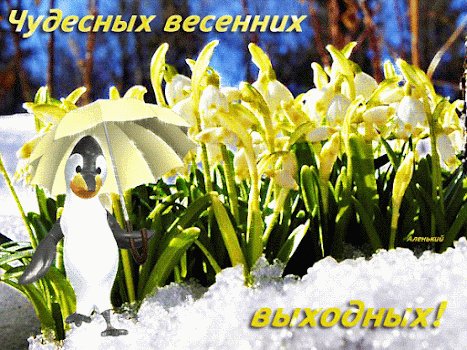 file_93009866