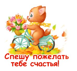 Спешу пожелать