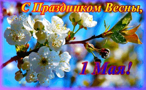 file_77431887