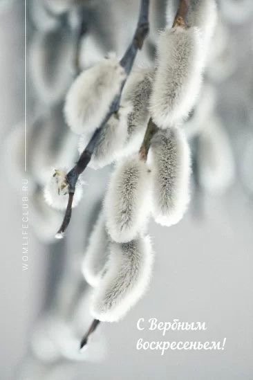 file_93201102