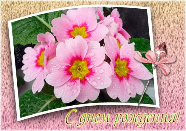 file_73000610