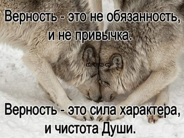 Верность