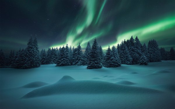 file_72675883