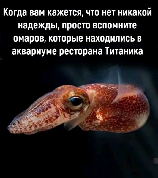 FB IMG 16724658899572840