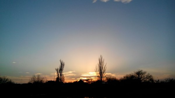 file_78986577