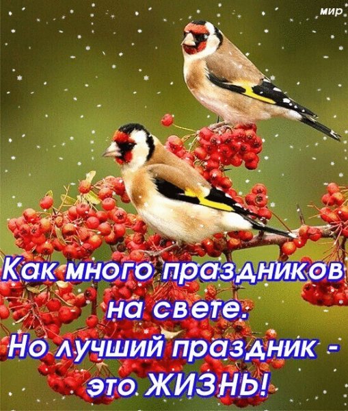 Лучший праздник-жизнь