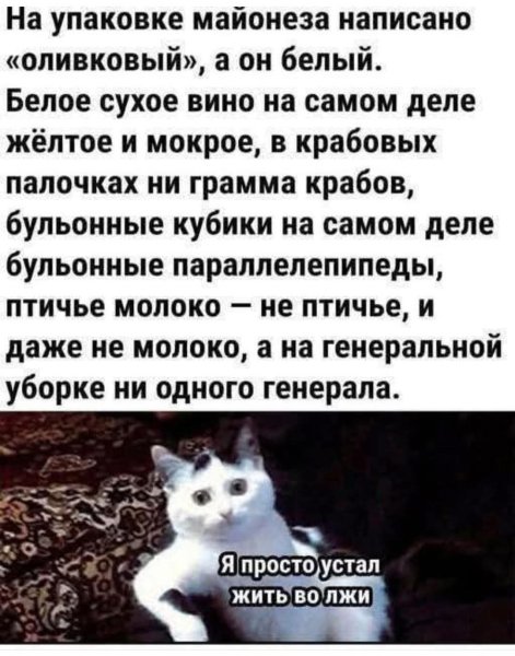 FB IMG 1769117817328