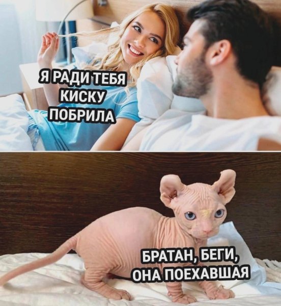 file_92340507