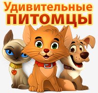 Удивительные питомцы онлайн