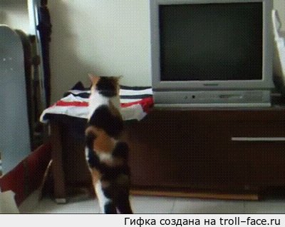 Прыжок Через 1, 2, 3