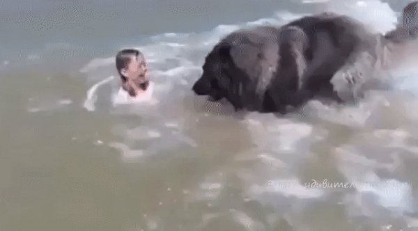 Нянька
