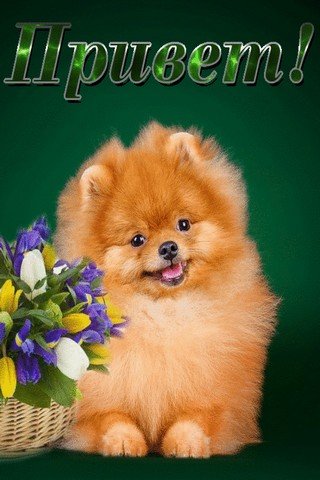 file_77557814