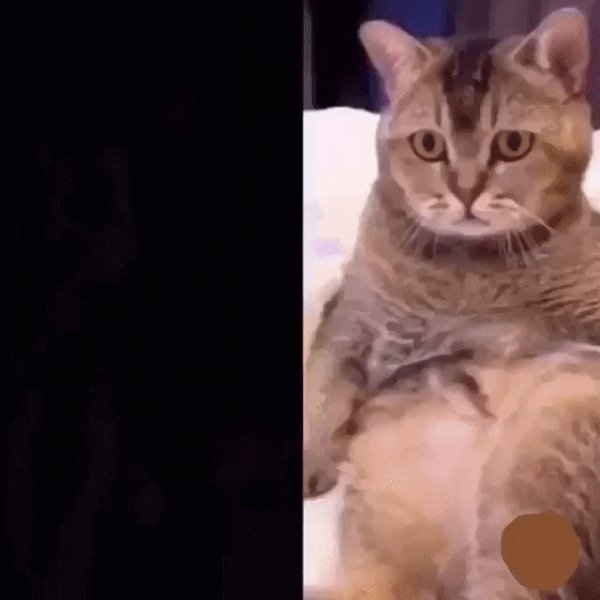 Удивился