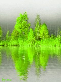 file_9286091
