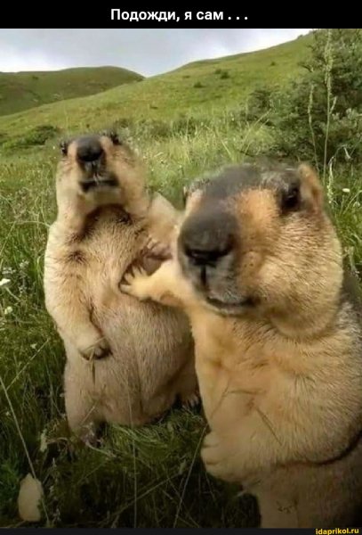 2e94dba97d74cede5f518cdb87d2625d319e305bcc67e 1