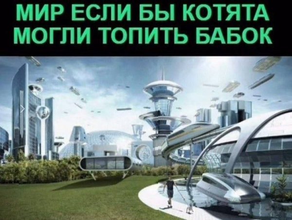 Приколы юмор (21)