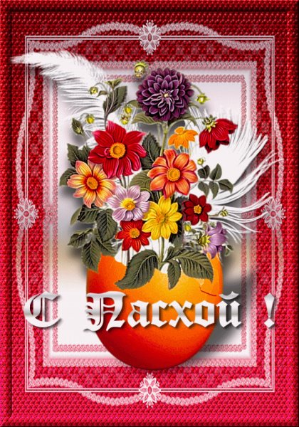 file_84183229