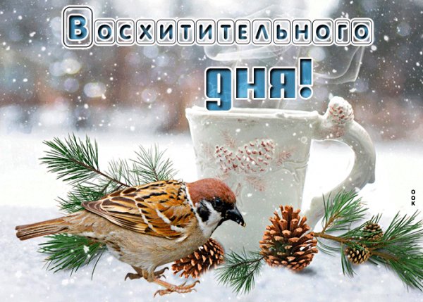 file_99037899