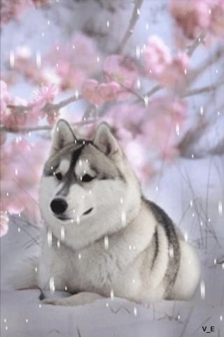 file_67260713
