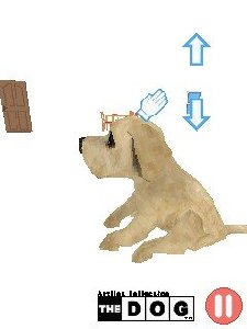 The Dog Labrador 240x400 Samsung sensor