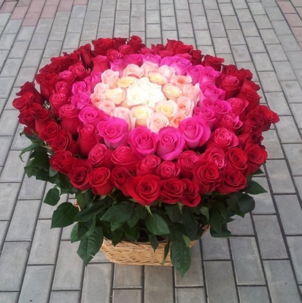 image (26)