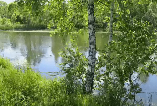 file_68434541