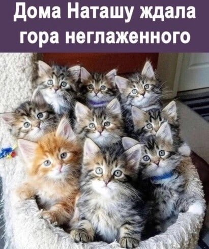 IMG 20220619 102850