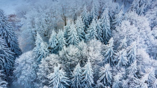 Borovets ROW0396725265 UHD
