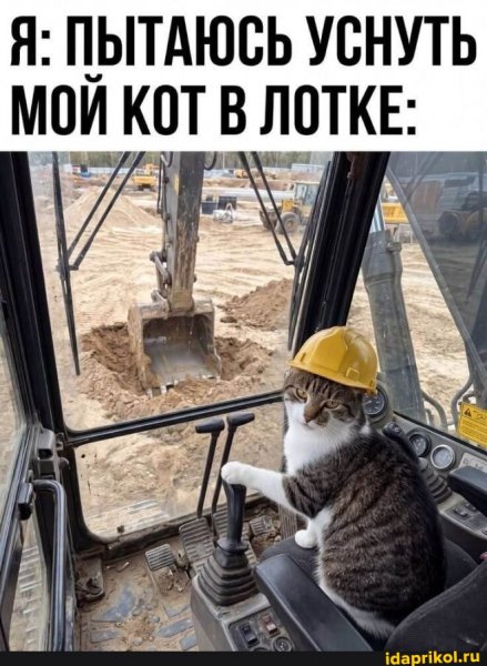 Aa899b7619250bf3194e87bc4b2e11da0d3ab9b345a1fc 1