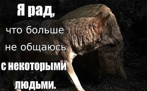 Волк