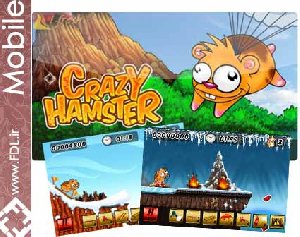 allsensor.ru crazy hamster full 1.0.1