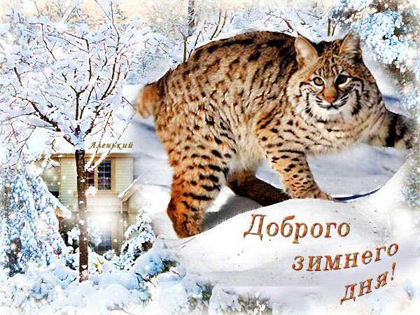 Анимированная открытка доброго зимнего