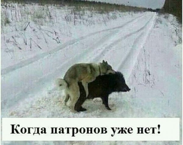 4e965e3363d8f7c7256afd507680026e