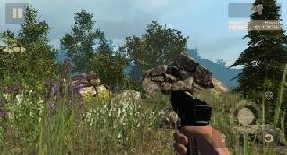 Survival in Forest v1.05