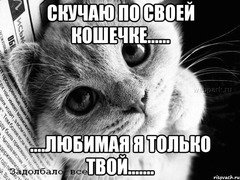 А3.c782dd50beb49d26c04bf84097ed7a86