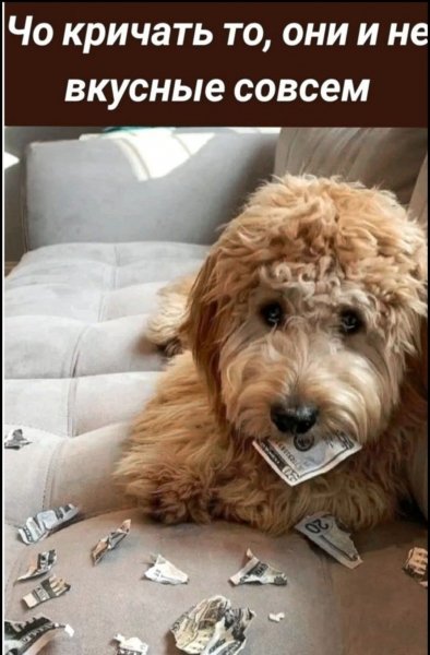 FB IMG 1777225978167