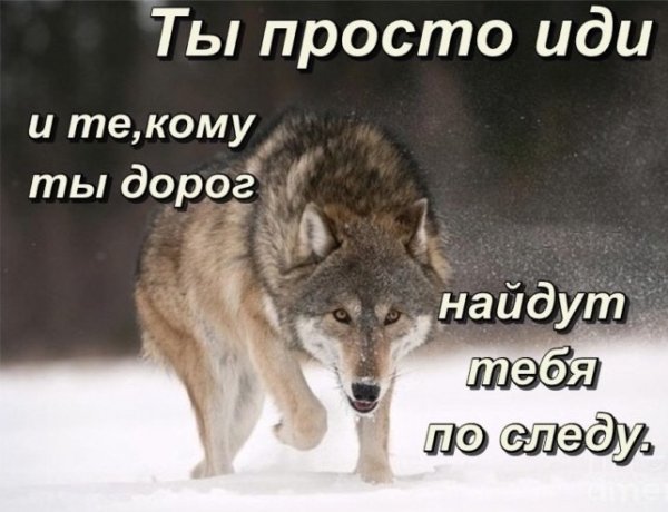 Просто иди