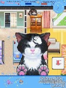 CatzN95r38