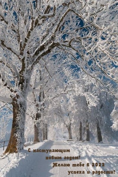С наступающим 2022 годом