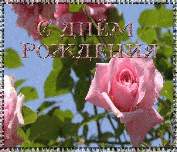 Анимированная открытка с днём рождения