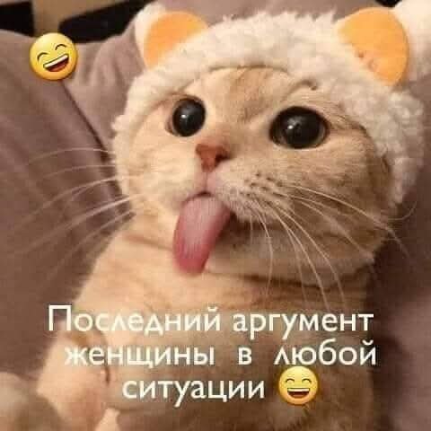 FB IMG 1751908278727