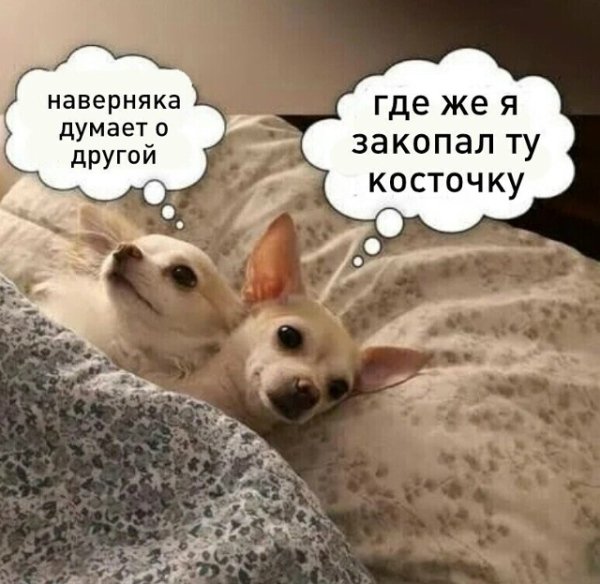 file_102765946