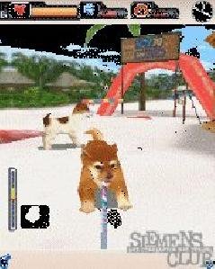 DogZ 3DCsHbo2