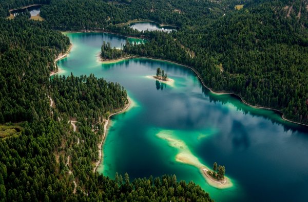 Priroda-ozero-derevya-les