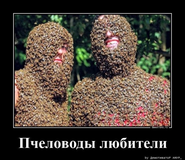 Пчеловоды любители