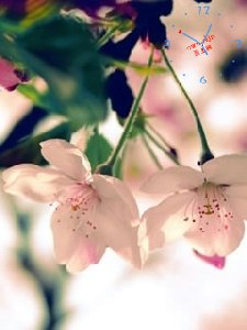 Love season
