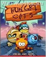 Hungry Cats