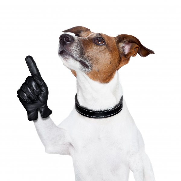 Shutterstock 137930063